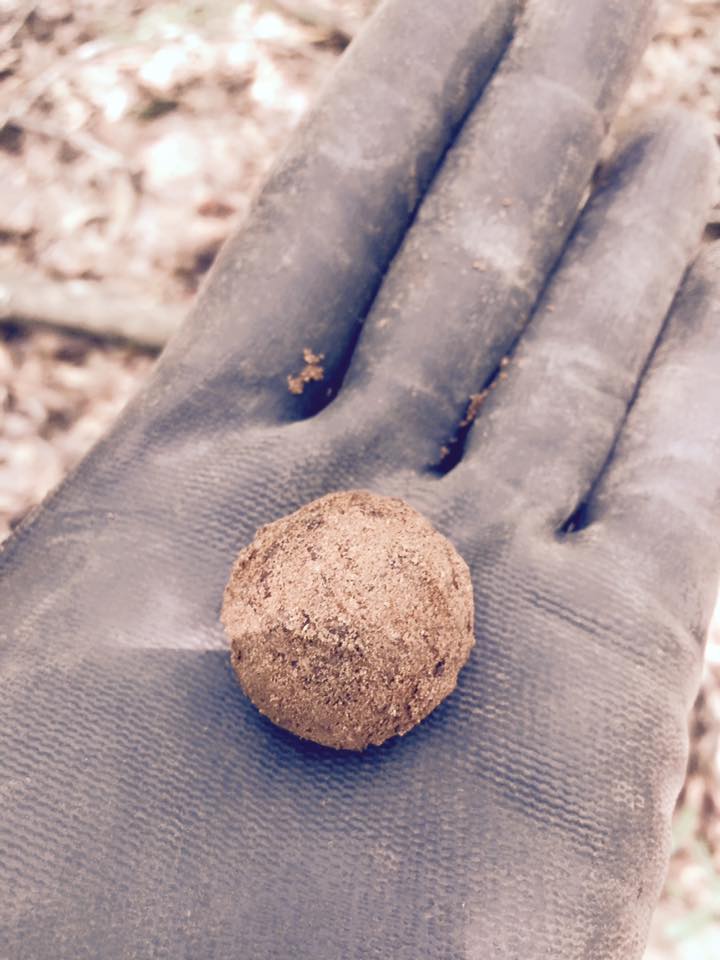 TFHistory's tweet image. Cannister shot found by Mike Cavender during a dig assisting the National Park Service at Andersonville POW camp.