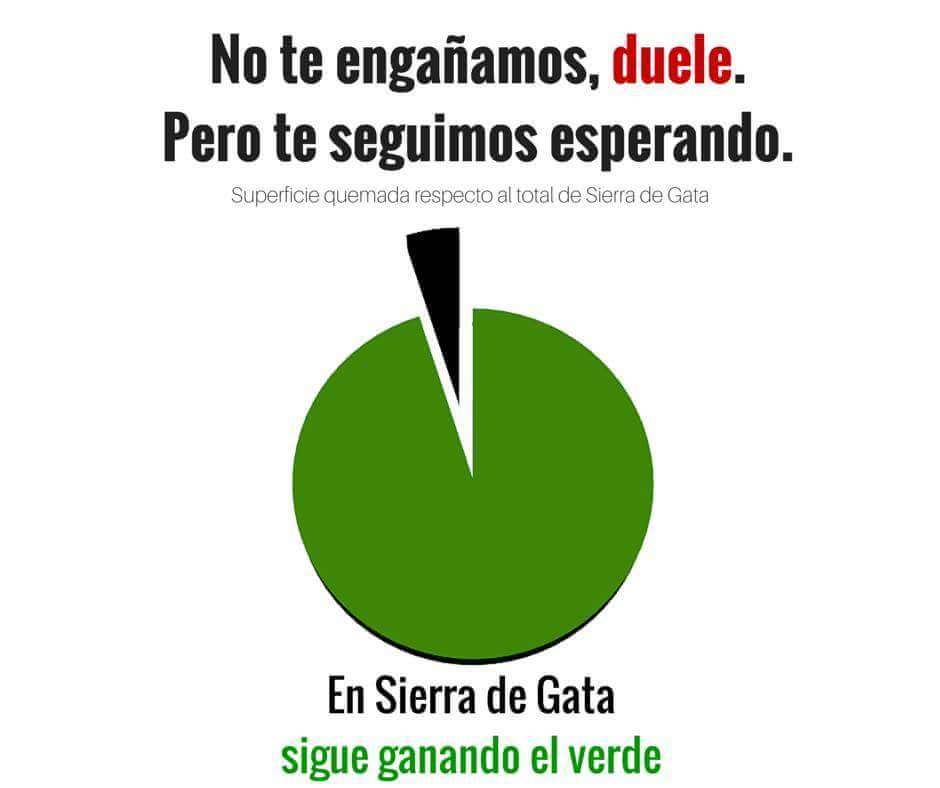 Ayto. Moraleja (CC) tweet media