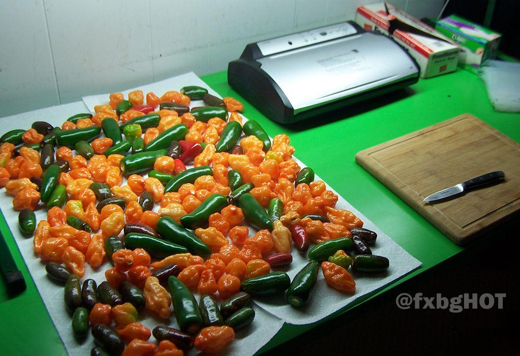CapsaiTech tweet picture