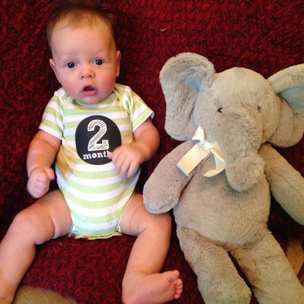 CourtYoung717's tweet photo. Two Months and Growing! https://t.co/IJkWrfczlF http://t.co/clJn9fC7sp