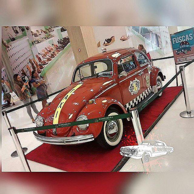 oldcar_photo's tweet photo. Foto do nosso amigo @raamonmatheus
#fuscamania #fuscalove #fuscalife #1972 #bege #vw #vwmania #fuscaterapia #oldca⦠http://t.co/5MtH6IKT2A