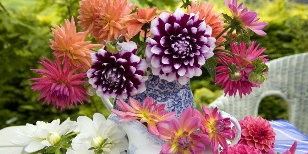 CountryLiving's tweet image. The Most Popular Flowers for Each Month in Summer bit.ly/1NluEen