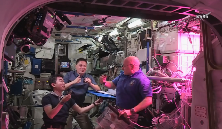 NASAScience_'s tweet photo. "That's awesome!" @astro_kjell on his first bite of space-grown produce. #NASAVEGGIE http://t.co/AoGLo45Ub0