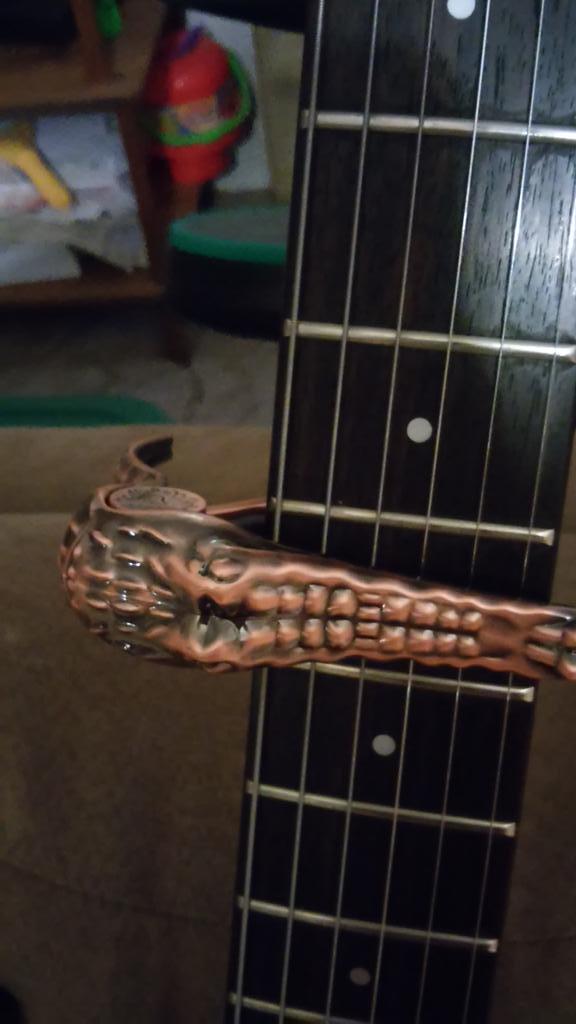 PlecPicker's tweet image. Please Retweet If You Like Crocodile Capos @ PlecPicker.com. Fan Snap by @FreyaBabbit