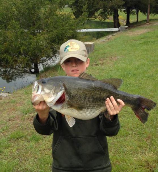 Bassmaster tweet media