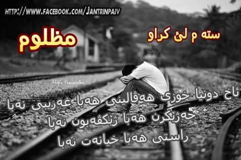 شعر