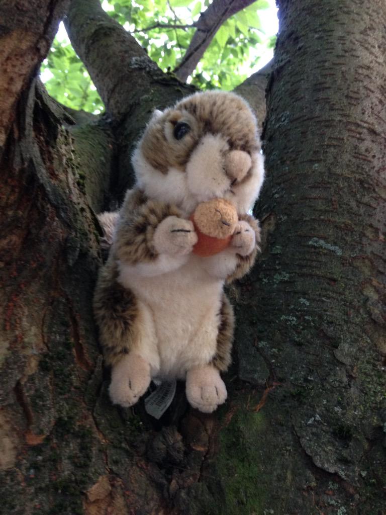 Hanging with @LdubofRnBsmoove at City Hall and met a new friend