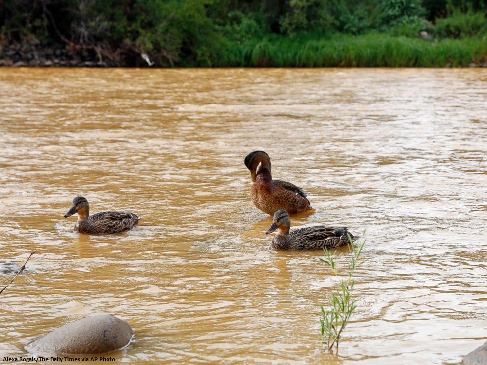 ABC's tweet image. 3M gallons of toxic water turns CO river orange; spill continues to flow through other states: abcn.ws/1gsZJSo