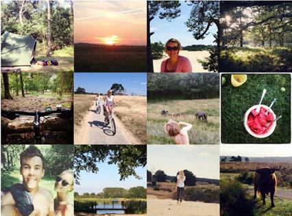 Zomerse sferen in de #collage. Een terugblik op vorige week. Enjoy!