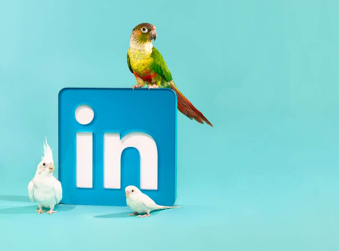 CraigPerkinson's tweet image. Simple and to the point. 6 ways you should use social.