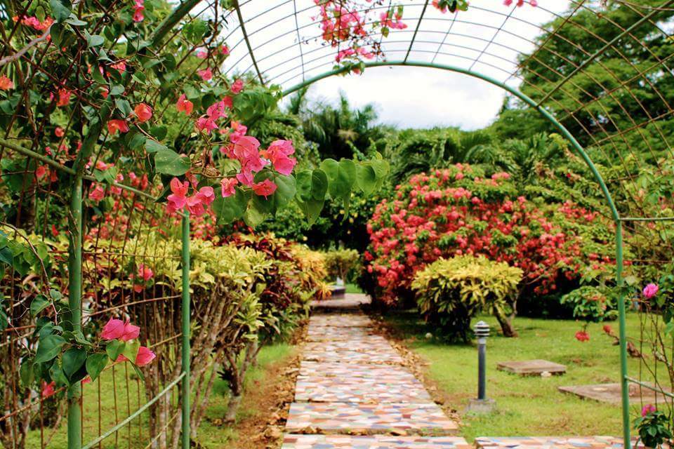 Acompáñanos a dar un recorrido por los jardines del #HotelLosGuayacanes #Chitre #Panama