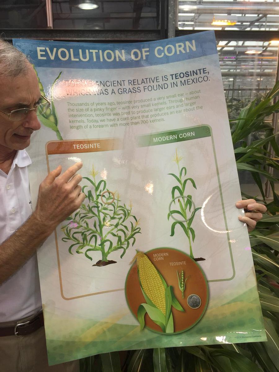 Andrew Butler tweet media