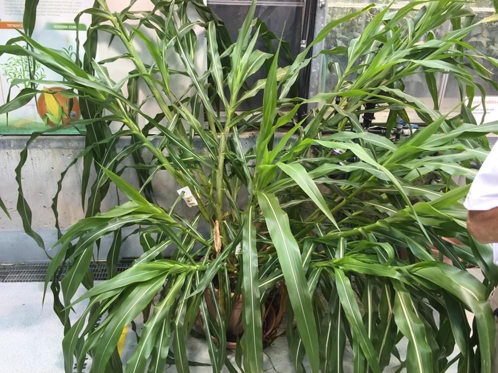 Andrew Butler tweet media