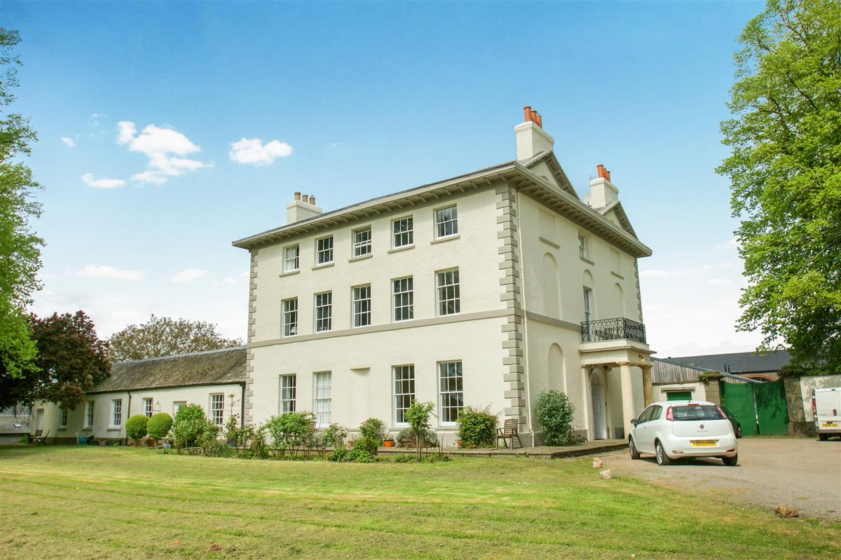 Wildblood Macdonald tweet media