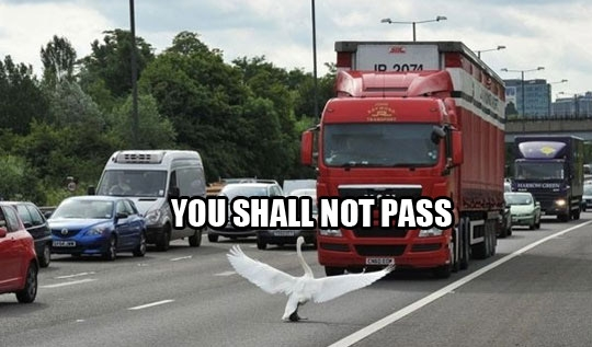 BellTrailers tweet picture