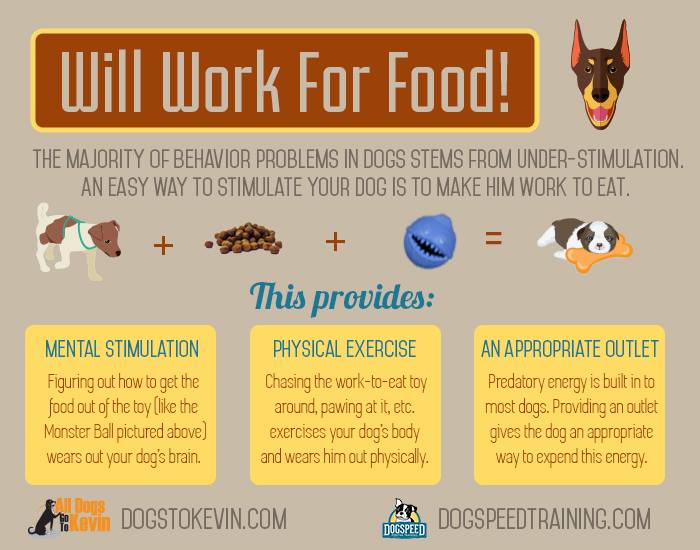 VictoriaS's tweet photo. Awesome infographic from @dogstokevin on using your dog's food for mental and physical stimulation. http://t.co/EpdLFrSnI4