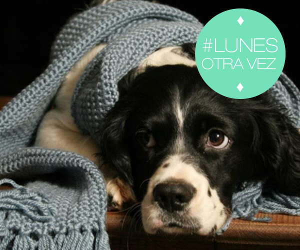carrerasdc's tweet photo. Ohhhhhh no........... ¿Hay que levantarse?¡¡ Fuerza para arrancar un #LunesOtraVez lluvioso... ☔ !! http://t.co/GR4yt7cFNA