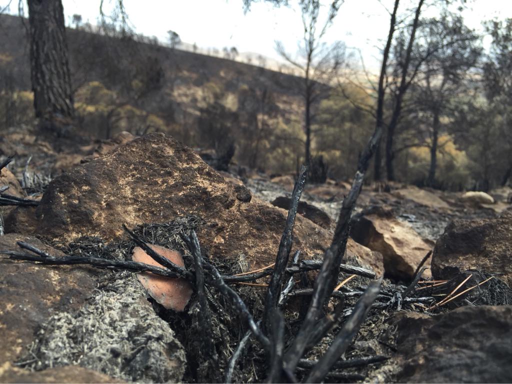 IreneJodar's tweet photo. Así está la Sierra del Almirez en #Lorca a día de hoy. Incendio controlado aunque se sigue trabajando #IFAlmirez http://t.co/WGkGtXhZh7