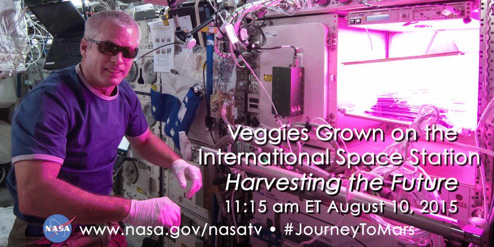 NASAKennedy's tweet photo. Tune into NASA TV LIVE now to watch @Space_Station crew harvest and eat #NASAVEGGIE: http://t.co/SfH2obDb0W http://t.co/QtpuYjf9CP