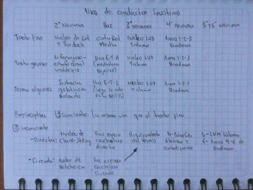 AndresToqi's tweet photo. @NeuroFUNJC  #neuro3 
Vías de conducción sensitivas http://t.co/34YG9WKfNc