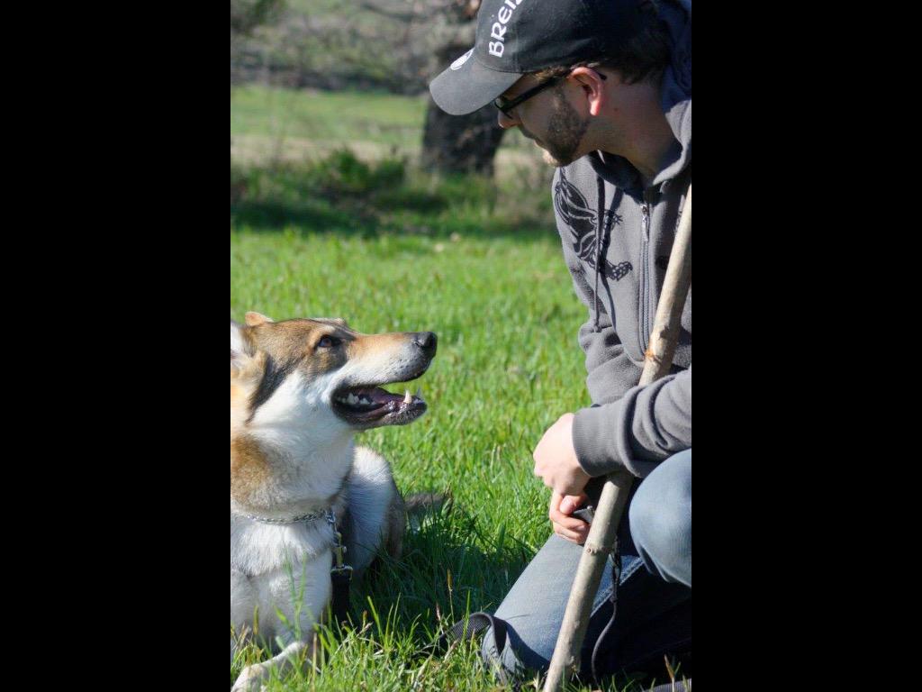 wolfdogbehavior's tweet photo. Oubliez les mots.Pour parler avec un animal il faut prendre conscience du langage de votre corps...Dire ce qu'il voit http://t.co/zSE23NuHNv