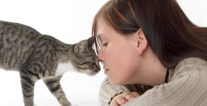 OcioUltimate's tweet photo. CURIOSIDADES sobre los GATOS que seguro desconocías http://t.co/11dlPpDbV8 http://t.co/ERUvmYtRYK