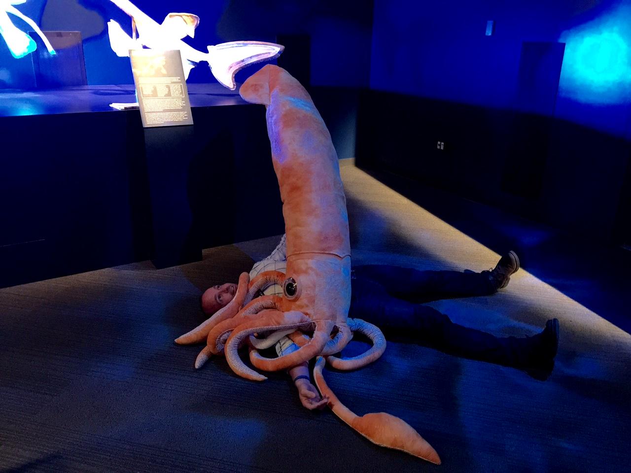 Vancouver Aquarium On Twitter: Attack Of The Giant Squid! @Dolf_dejong  Shows Off The Newest Addition To Our Gift Shop For #Seamonstersrevealed.  Http://T.co/Atlvz1jgpb / Twitter