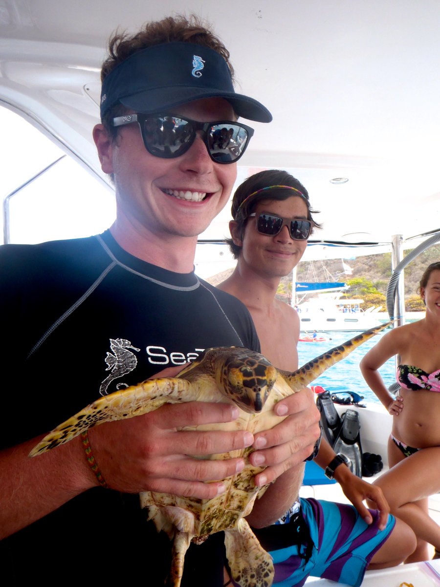 SeaTrekltd's tweet photo. More #TurtleTagging with #SeaTrekBVI! Find out more about this BVI conservation effort on our website. http://t.co/VDyQScJOSw