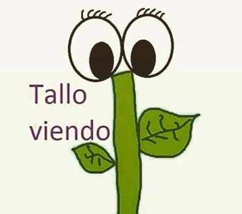 JaimeAguado5's tweet photo. @DenisseKrug http://t.co/H0IF5t5qsX