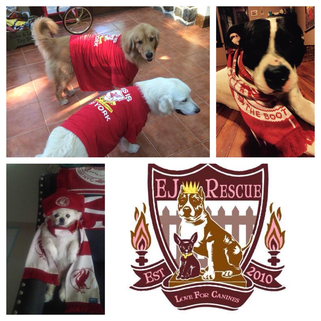 NY KOPITES (@nyckopites) on Twitter photo <a href="/TheIApub/">Irish American</a> #BootRoomNYC raised over 1K for ejrescue.org #DogRescue yesterday <a href="/TheLFCLA/">LFC Los Angeles</a> <a href="/TheLFCOC/">LFC Orange County</a> <a href="/TheLFCSD/">LFC San Diego</a> <a href="/TheIApub/">Irish American</a> #BootRoomNYC raised over 1K for ejrescue.org #DogRescue yesterday <a href="/TheLFCLA/">LFC Los Angeles</a> <a href="/TheLFCOC/">LFC Orange County</a> <a href="/TheLFCSD/">LFC San Diego</a>