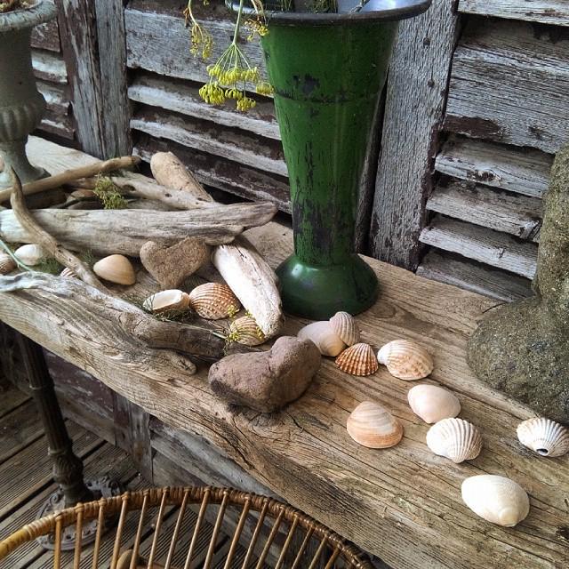 mercigaspard's tweet photo. Bye bye the holidays! 😔😪 #returnathome #inmygarden #coquillagesetcrustacés #vasedefleurist… http://t.co/a8x1qfThN2 http://t.co/tsXM7H3fNh