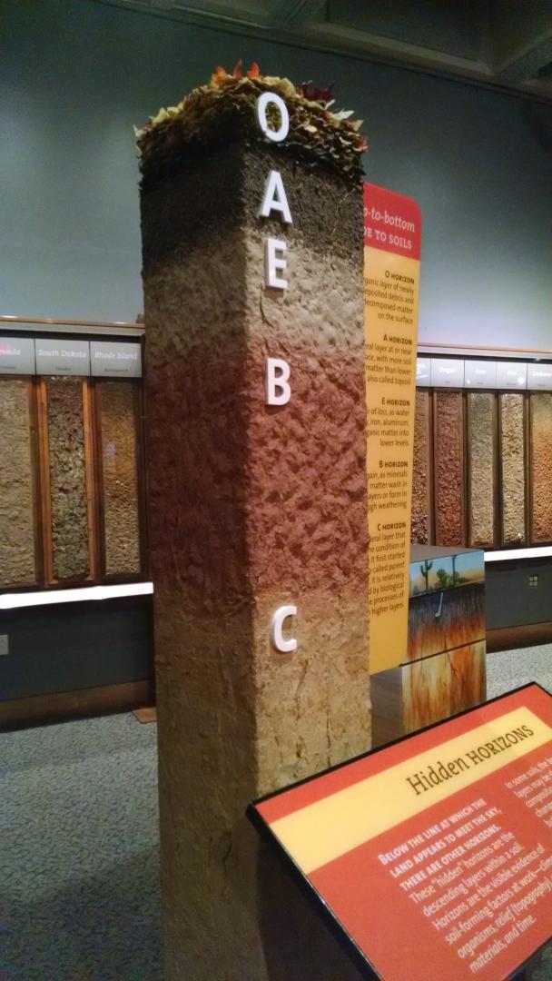 NCExtension's tweet photo. RT @ncsoilwater: #DigItNC at NC Natural Science Museum leaves soon don't miss it! @NCAgriculture @NCFarmBureau http://t.co/BM82pLmvMI