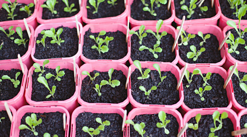 GustoHQ's tweet photo. How to Grow Your Accounting Practice Through Automation https://t.co/HuUbP8nHNC @salesforce @BoxHQ @Xero http://t.co/8ke3NEVUb6