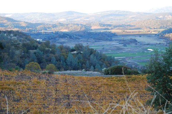 #WineTaste &amp; Tour at our Estate daily from 11 am - 5 pm.