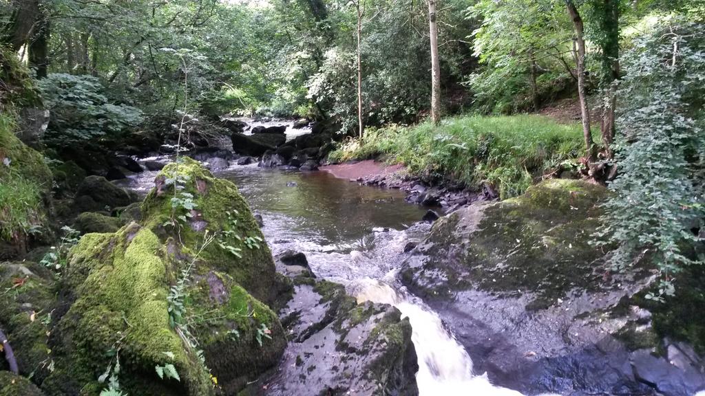 BallinderryNews's tweet photo. #ballinderryriver at its best. Ballinderry SAC Living River Project - looking at biodiversity value of the river. http://t.co/vqK5P4st5A