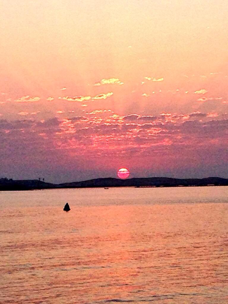 Vet_Demo's tweet photo. انضف صور صورتها حتى الان ✋📷
#nature
#sunrise
#sunset
#3agibaa
#matrooh http://t.co/Yc7AI8a3zW