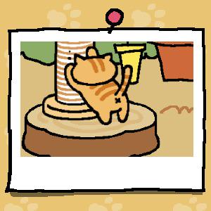 StupidNoodleCat's tweet photo. #ねこあつめ http://t.co/uMqQPYO8gi