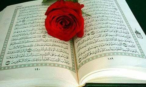 rooby983r1's tweet photo. @igallery_shop 
الحياة مع القرآن لها طعم آخر
@ChvggF 
@a495a05c47974cb
@nuha1756 
@SalsabeelHussei 
 #اي_غاليري http://t.co/6MTvTYDBHr