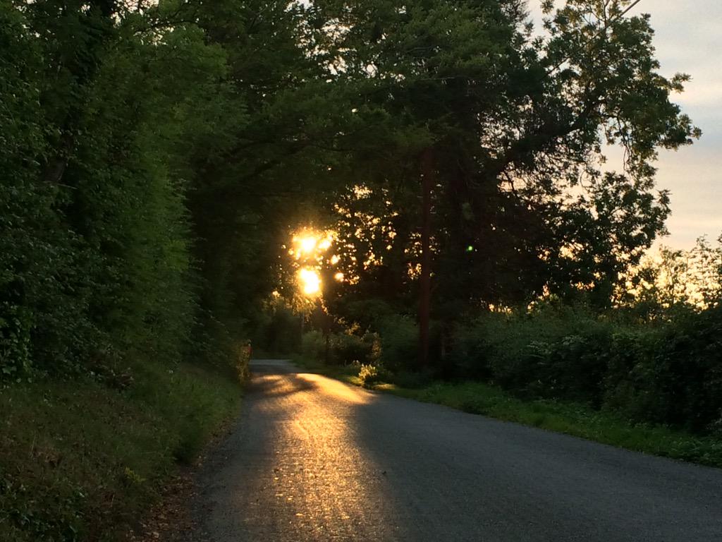 oreilly_11's tweet photo. Getting back running isn't bad when it's like this! 😄🌞🌝 http://t.co/PEbgfpnVib
