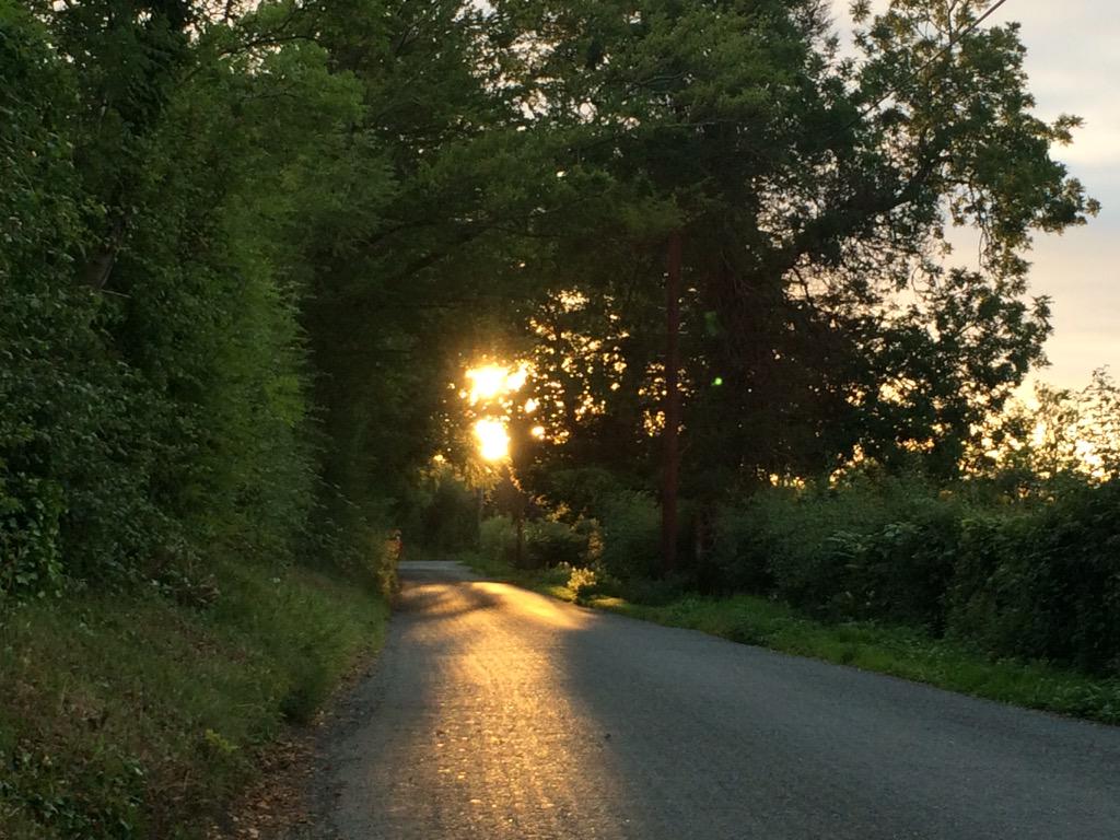 oreilly_11's tweet photo. Getting back running isn't bad when it's like this! 😄🌞🌝 http://t.co/PEbgfpnVib