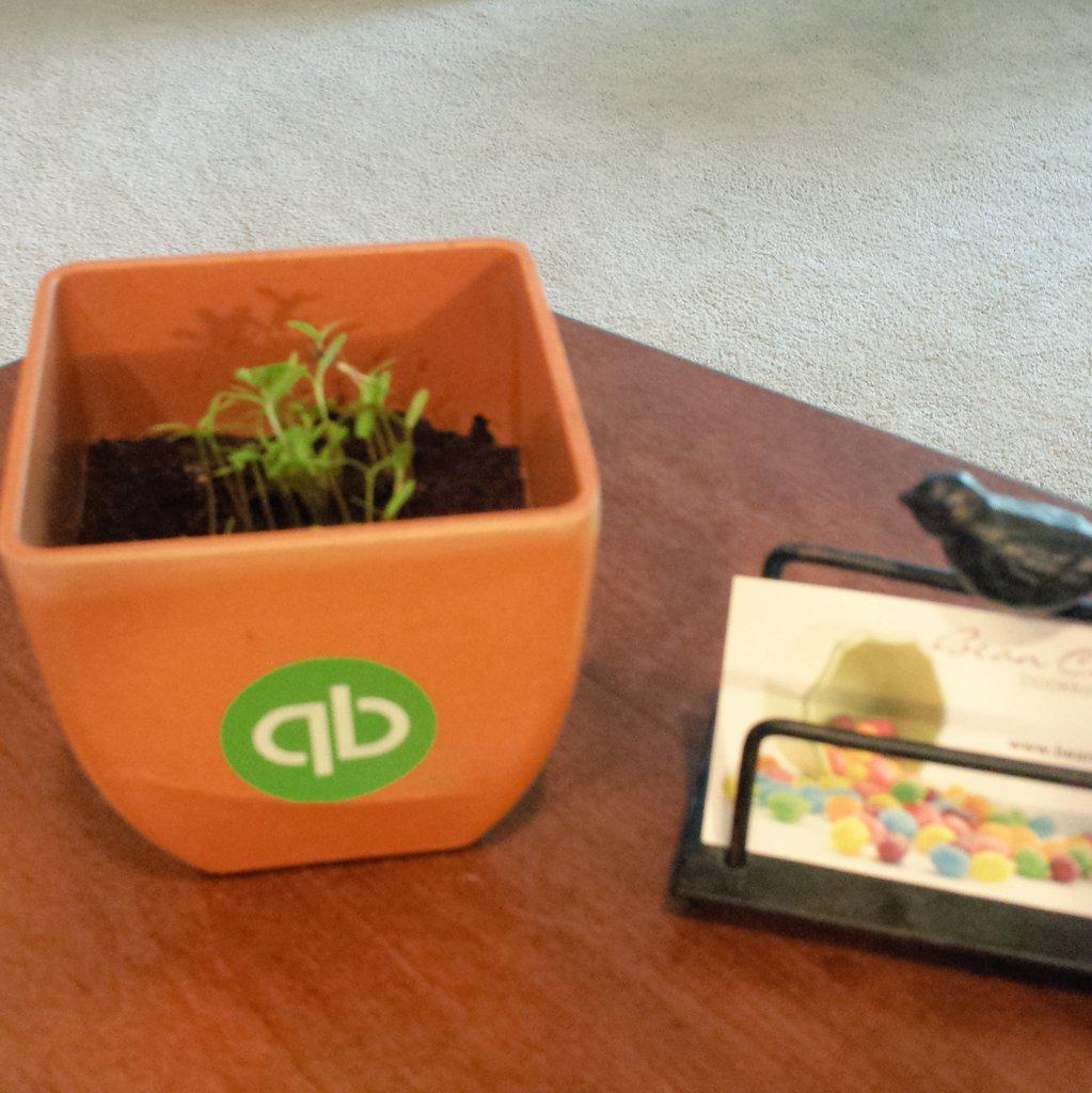 BeanCounterLiz's tweet photo. Watching my business grow! #IntuitLovesAccts http://t.co/nEmECRFHgi
