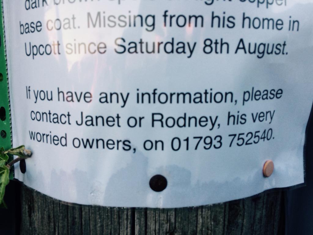 LennonTHFC's tweet image. #LostCat #Latton please contact worried residents if you see their cat. Thank you @LattonParish