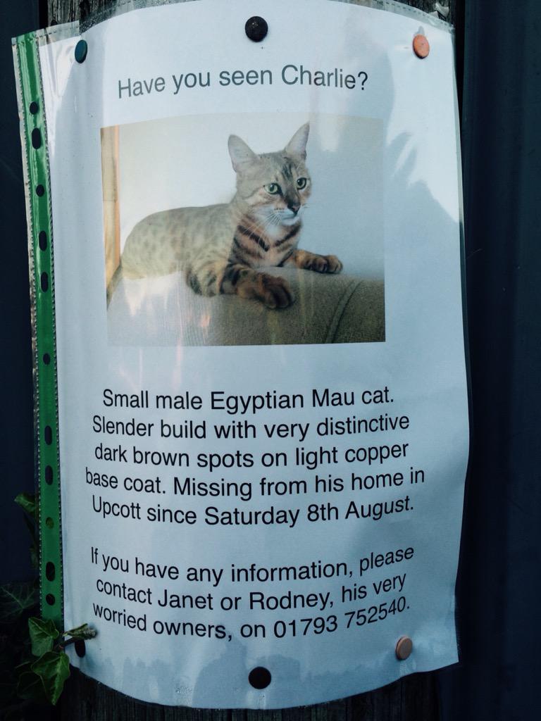 LennonTHFC's tweet image. #LostCat #Latton please contact worried residents if you see their cat. Thank you @LattonParish
