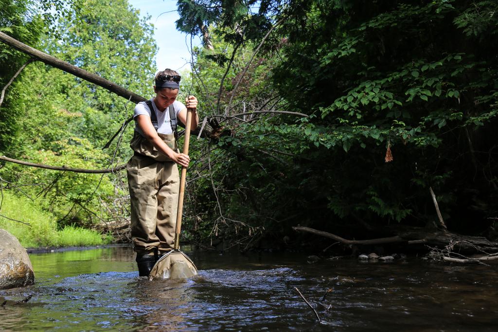 JeffDickie's tweet photo. Ontario Benthos Biomonitoring Network with the Toronto and Region Conservation Authority in Duffins Creek. http://t.co/CIsdZLHgAF