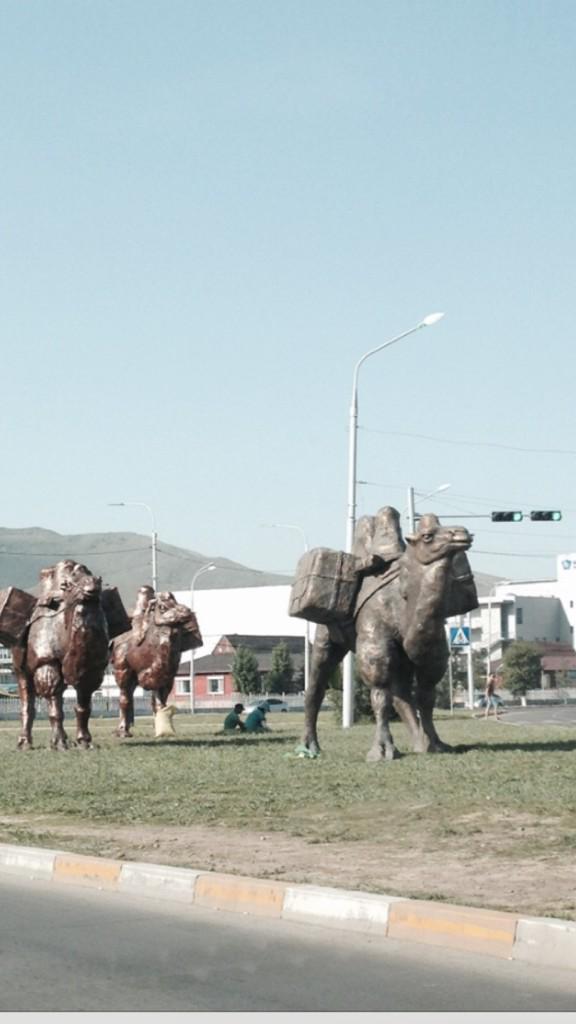 Torgonii zamaar temeen jingiin tsuvaa...