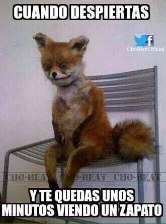 wendel507's tweet photo. Jajaaj a kien le ah.! Pasadoo 
Xq a miii siii😁😁😂 http://t.co/xBhQBVyN1p
