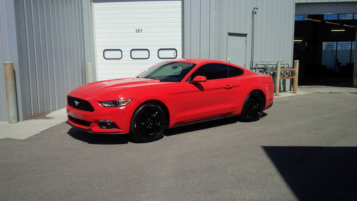 SublimeDetail's tweet photo. Pictures don't show the color quite right. This Competition Orange Ecoboost Mustang was in for a protection package. http://t.co/tenNTgyUA0