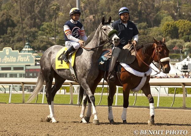 Happy Birthday to the man, the myth, the legend...Hall of Fame jockey Mike Smith 