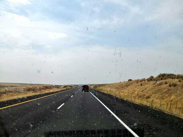 BeagleBucky's tweet photo. 200 miles to the Pacific! (Also, we've killed an awful lot if bugs on this trip.) #buckyacrossamerica http://t.co/TmgqqIwvjX