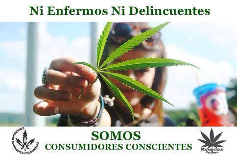 AMAECU's tweet image. No quiero traficantes n mi barrio, x eso la #LeyMarihuanaLibre es la solución, autocultiva!! @MinInteriorEc